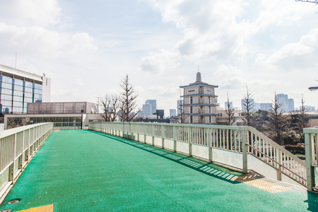 Beautiful colorful trees landscape with bridgeのeditorial素材