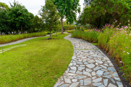 Stone walkway in the park with green grass and flower garden.の写真素材