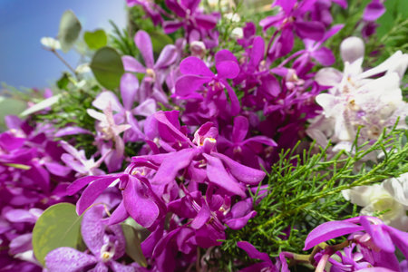 Bouquet of purple orchids on blue sky background.の写真素材