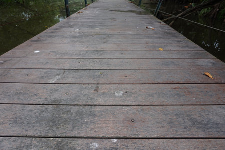 Wooden walkway to the river, can be used as backgroundの写真素材