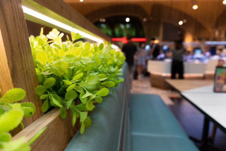 Blurred image of green plant in the coffee shop with bokeh backgroundの写真素材