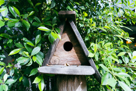 Birdhouse in the garden, birdhouse in the garden, bird houseの写真素材