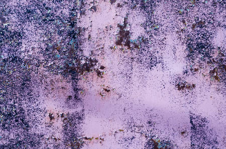 Texture of old wall with paintの写真素材