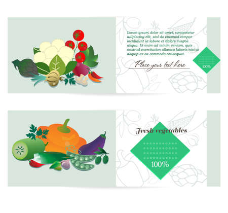 Vegetable banner advertising bookletのイラスト素材
