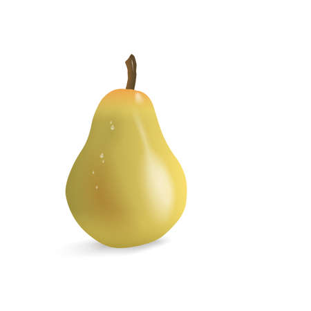 Realistic illustration pear isolated on white backgroundのイラスト素材