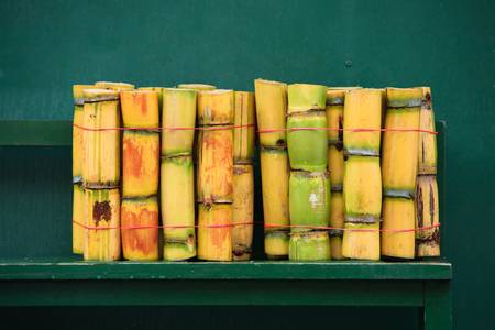 Fresh sugarcane cut for extraction of juice. Small pack for sale in Ecuador.の写真素材