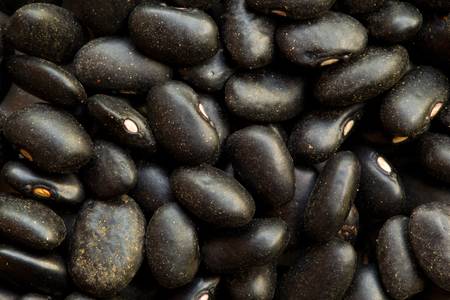 The small, shiny black turtle bean is especially popular in Latin American cuisine, though it can also be found in Cajun and Creole cuisines of South Louisiana. It is often called simply the black beanの写真素材