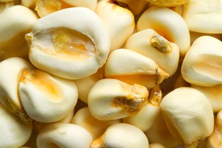 Cooked corn, also called mote in south america. Fairly popular food in indigen comunities.の写真素材