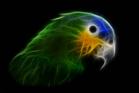 the blue-headed parrot, also known as the blue-headed pionus, pionus menstruus, is a medium large...