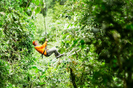 adult tourist on zipline dressed in orange against green backgroundの写真素材