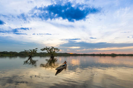 Cuyabeno National Park , Sucumbios Ecuador, indigenous adul man with wooden canoe against blue...