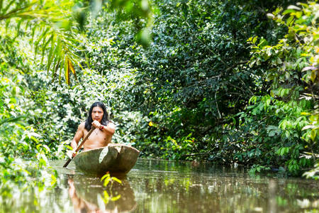 Indigenous adult man on typical wooden canoe choped from a single tree navigating murky waters of Ecuadorian Amazonian primary jungleの写真素材