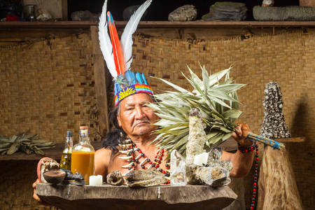 Shaman in Ecuadorian Amazonia during a real ayahuasca ceremony, model released image, as seen in April 2015の写真素材