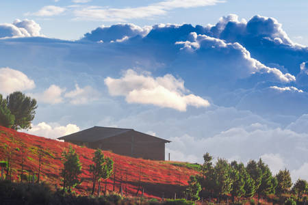 Retirement house at high altitude in Ecuadorian Andes, one of the moust sought after expat destinationの写真素材