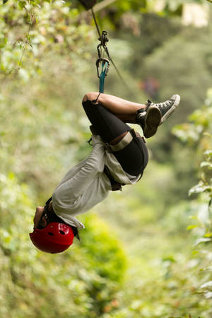 Zip Line Adventure In Ecuadorian Rainforest Banos De Agua Santaの写真素材