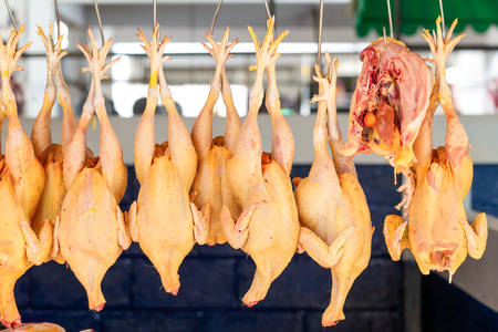 Hanged Chickens Displayed In Ecuadorian Marketの写真素材