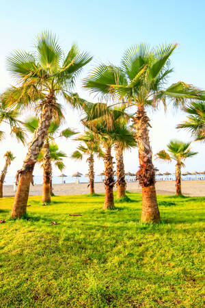 Exotic Beach Of Torre Del Mar Andalusia Spain Also Called Costa Del Solの写真素材