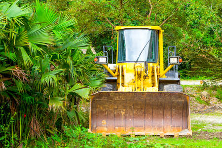 Heavy Bulldozer Used For Deforestation In Ecuadorian Jungle