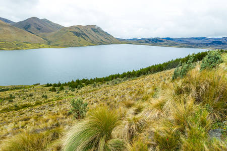 Pisayambo Lagoon Llanganates National Park Andes Mountains Ecuadorの写真素材