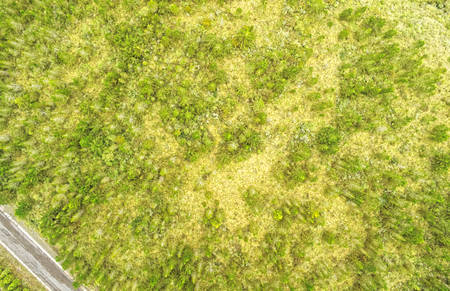 Reforestation Monitoring Cotopaxi Ecuador Aerial