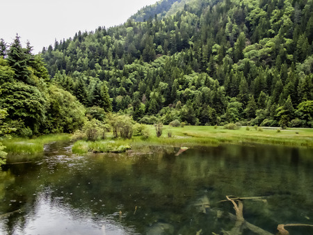 Arrow Bamboo lake at Jiuzhaigou Valley National park in China