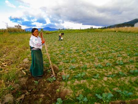 OTAVALO, ECUADOR - APRIL 28, 2015: Unidentified woman working on a field in Otavalo, Ecuador. Otavalo was an area made up principally of farming communities due to the rich volcanic soils in this area.のeditorial素材