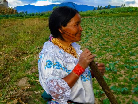 OTAVALO, ECUADOR - APRIL 28, 2015: Unidentified woman working on a field in Otavalo, Ecuador. Otavalo was an area made up principally of farming communities due to the rich volcanic soils in this area.のeditorial素材