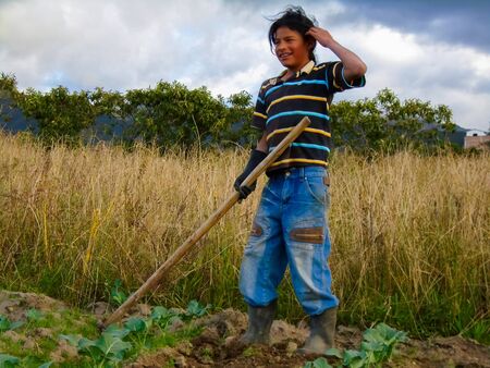 OTAVALO, ECUADOR - APRIL 28, 2015: Unidentified boyworking on a field in Otavalo, Ecuador. Otavalo was an area made up principally of farming communities due to the rich volcanic soils in this area.のeditorial素材