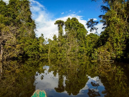 Amazon riverの写真素材