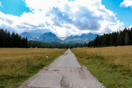 Detail from Durmitor mountain in Montengroの写真素材