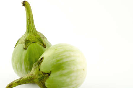 Cockroach Berry isolated on white backgroundの写真素材