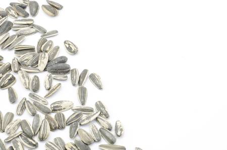 sunflower seeds isolated on white backgroundの写真素材