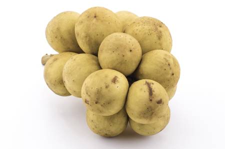  Lansium domesticum isolated on white backgroundの写真素材