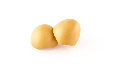 egg isolated on white background