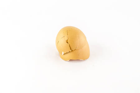 egg isolated on white background