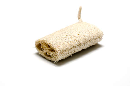 skin Loofah isolated on a whiteの写真素材