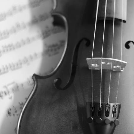 classic black and white violinの写真素材