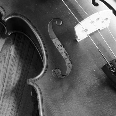 classic black and white violinの写真素材