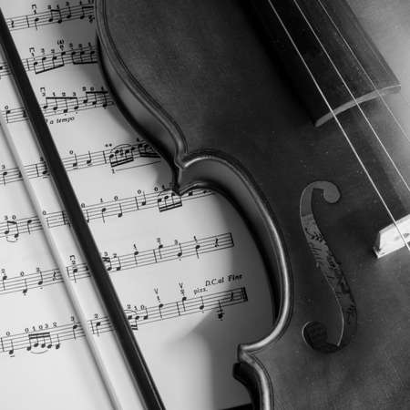 classic black and white violinの写真素材