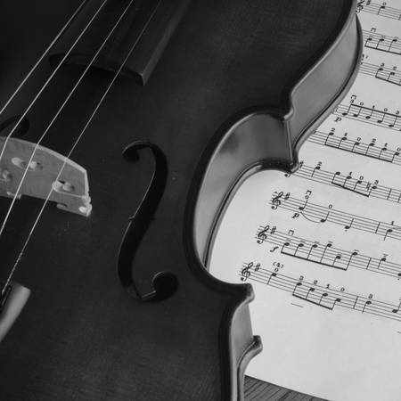classic black and white violinの写真素材