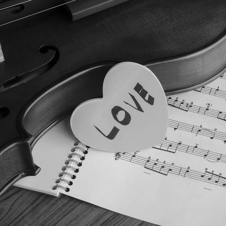 classic black and white violinの写真素材