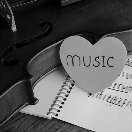 classic black and white violinの写真素材