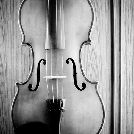 violin on wood black and white color tone styleの写真素材