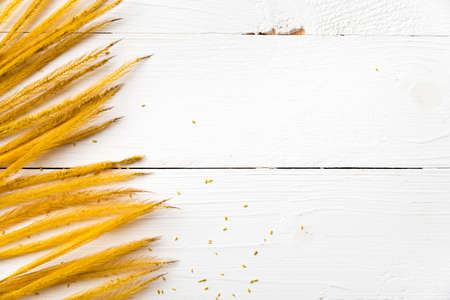 wheat on white tableの写真素材