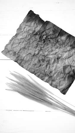 old brown paper and wheat on white table black and white colorの写真素材