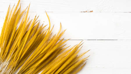 wheat on white table