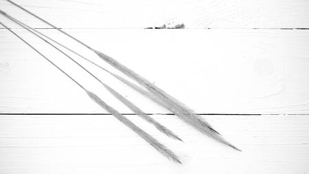 wheat on white table black and white colorの写真素材