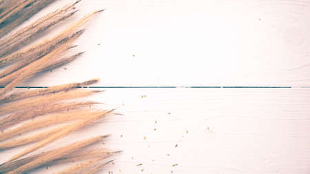 wheat on white table vintage styleの写真素材