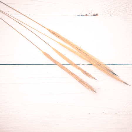 wheat on white table vintage style