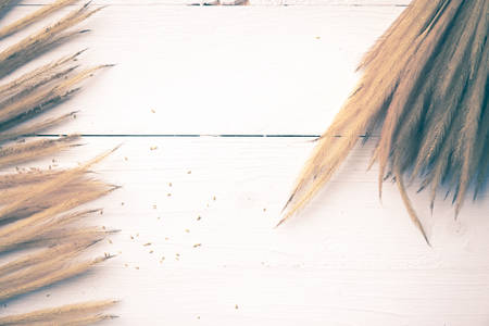 wheat on white table vintage styleの写真素材